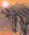 ku2.gif
