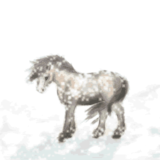 ku1.gif